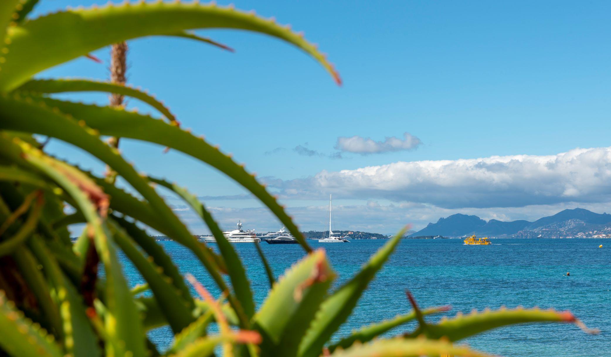 The 1932 Hotel & Spa Cap D'Antibes - Mgallery Collection Juan-les-Pins Esterno foto